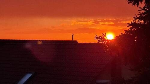 Blick vom Balkon (15.05.2026) - 