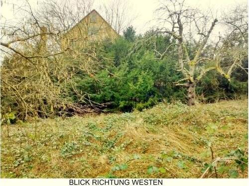 Bild 2 - Grundstück zum Kaufen in Hann. Münden