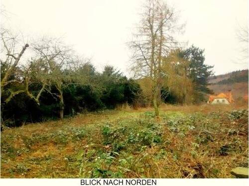 Bild 3 - Grundstück in Hann. Münden