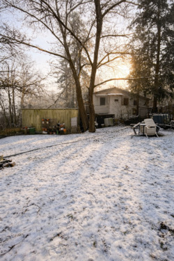 Garten - Großes Waldgrundstück mit Gebäude und Bürocontainer