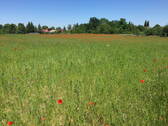 Ortsteilumfeld - 