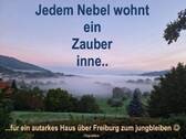 Wohnen über Freiburg - ...ein Mega zauberhaftes Grundstück in Freiburg, ...und der Himmel hier auf Erden....