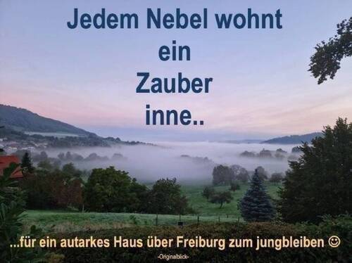 Wohnen über Freiburg - ...ein Mega zauberhaftes Grundstück in Freiburg, ...und der Himmel hier auf Erden....