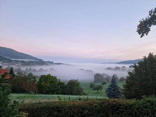 ...oder man über dem Nebel schwebt... - Grundstück zum Kaufen in Wittnau