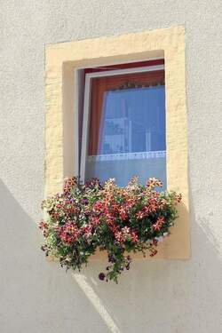 Detail - 