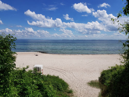 Am Strand angekommen - 