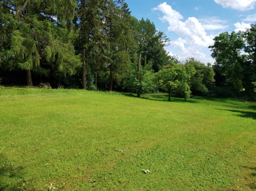 Wohnen in Strandnähe - 