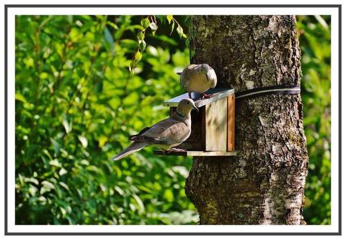 Herzlich Willkommen! - DG in SteglitzLankwitz: Kauf einfach gemacht: besichtigen, kaufen und einziehen :))