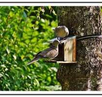 DG in SteglitzLankwitz: Kauf einfach gemacht: besichtigen, kaufen und einziehen:)) - Berlin