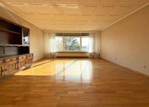 Lichtdurchflutetes Wohnzimmer - 