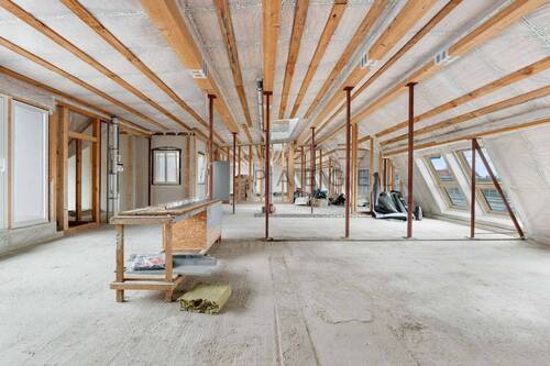 Dachgeschossrohling - 