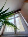 Blick in die Sonne aus dem Wohnzimmerfenster - 