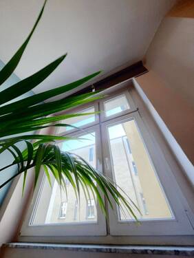 Blick in die Sonne aus dem Wohnzimmerfenster - 