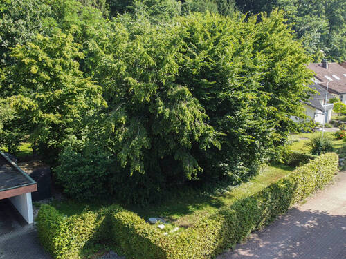 Baugrundstück - Grundstück zum Kaufen in Arnsberg / Glösingen