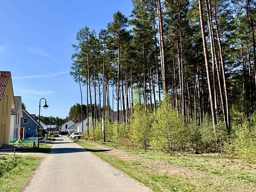 Baugrundstück - Grundstück in Borkwalde / Alt Bork zum Kaufen