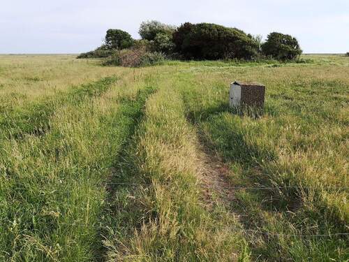 Zufahrt zum Grundstück - Idyllisches Grundstück - ehem. bebaut mit Baracken