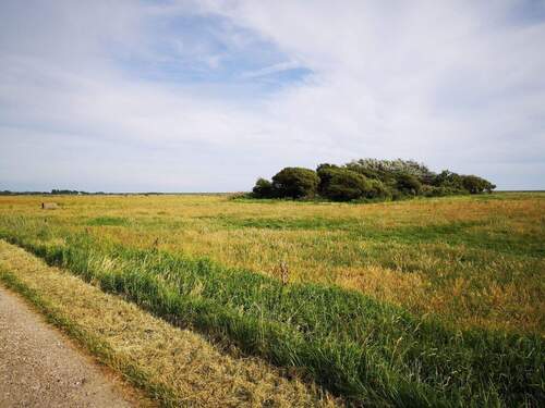 Blick zum Grundstück - 1 Zimmer Grundstück zum Kaufen in Sylt OT Archsum