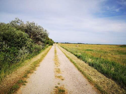 Blick in den Gungwai - Grundstück in Sylt OT Archsum zum Kaufen
