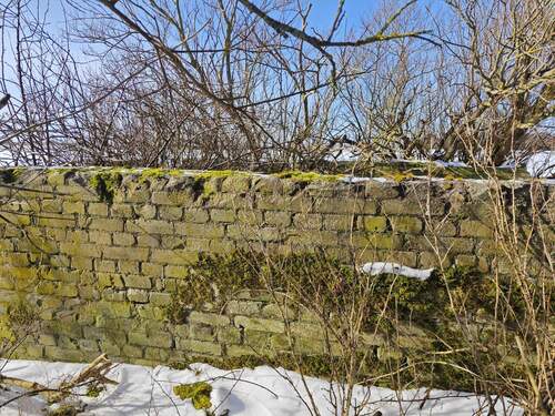 Gebäudereste im Wald - 