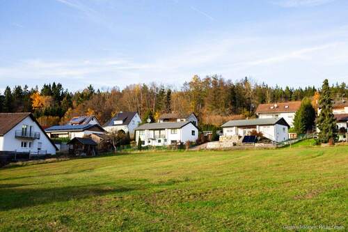 Wiese vor dem Haus - 