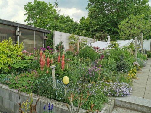 Teil des Gartens - 3 Zimmer Doppelhaushälfte in Dieburg