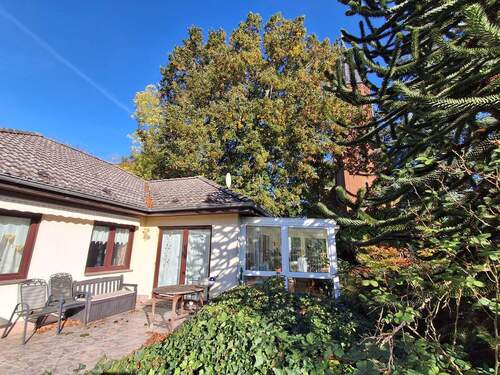 20251013_151920.jpg - 4 Zimmer Einfamilienhaus in Fehrbellin