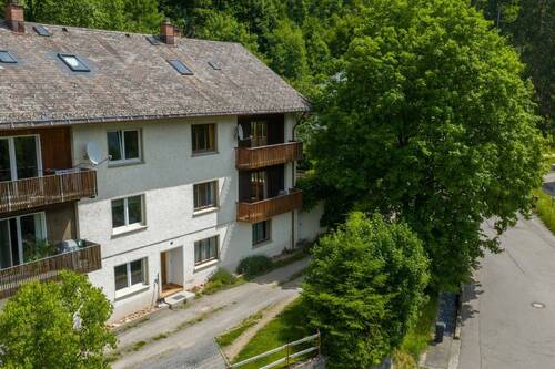 Luftaufnahme - 8 Zimmer Doppelhaushälfte zum Kaufen in St. Blasien