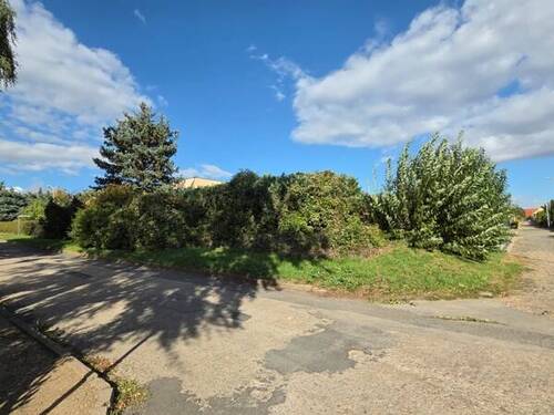 Seitenansicht - Grundstück in Aschersleben