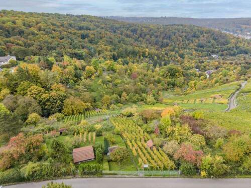 Hier genißen Sie absolute Ruhe - 