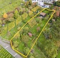 Ihr grünes Refugium in Degerloch - Gartengrundstück mit Fernblick, Gartenhaus und Wasseranschluss - Stuttgart / Degerloch Mitte