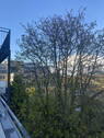 Bild 19 - 