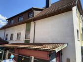 Hinteransicht mit Schuppen - 