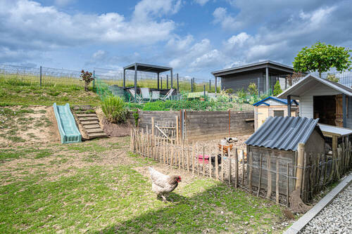 Tierfreunde - 