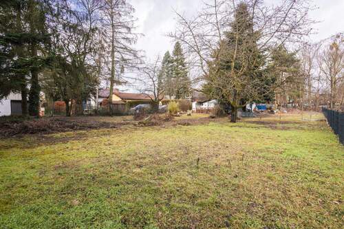 Wenig Bäume - Grundstück zum Kaufen in Groß Glienicke