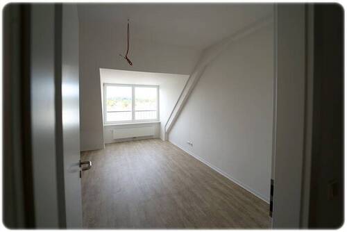 Bild8 - 