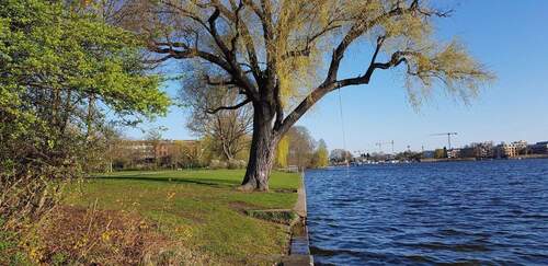 Wunderschöner Park nebenan - 