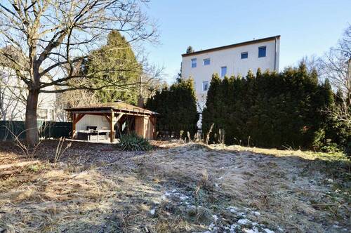 Garten hinten IV - 