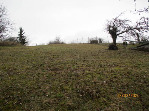 IMG_1091.JPG - Mehrfamilienhaus, Wohnhaus zum Kaufen in Euerbach