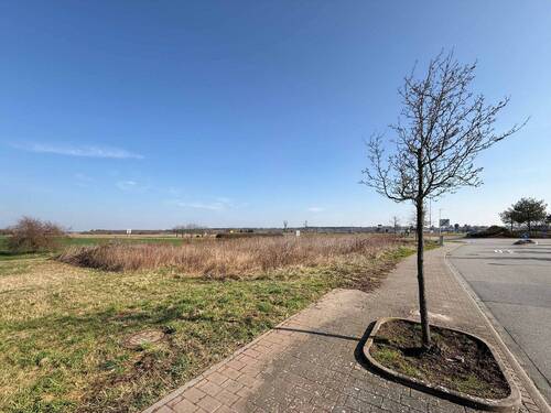 Ansicht - Grundstück in Sankt Leon-Rot