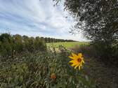 Weitblick - 
