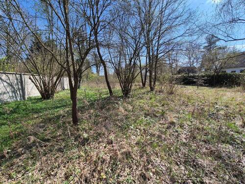 20260415_135137.jpg - Grundstück zum Kaufen in Bad Düben