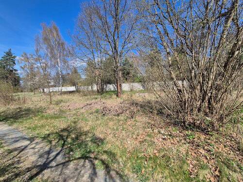 20260415_135219.jpg - Grundstück in Bad Düben