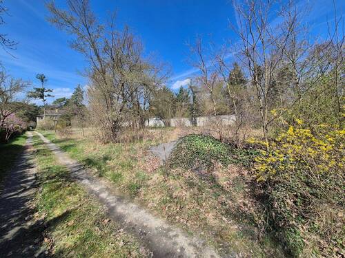 20260415_135234.jpg - Grundstück in Bad Düben zum Kaufen