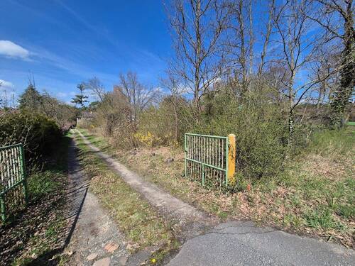 20260415_135249.jpg - 