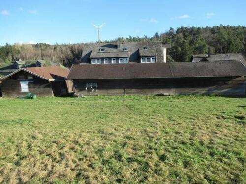 Pachtwiesen direkt angrenzend - 