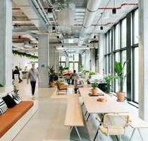 Schreibtischplatz im Bankenviertel Frankfurt -flexibel, hundefreundlich,AllAccess - Frankfurt am Main Bahnhofsviertel