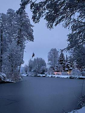 Am Storkower Kanal - 