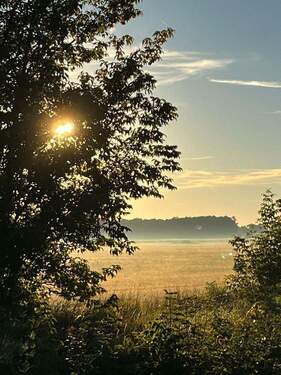 Feld am Ende der Stichstraße - 
