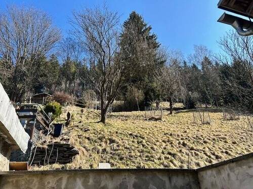 Garten - 