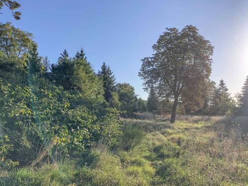 Blick nach Südosten - 